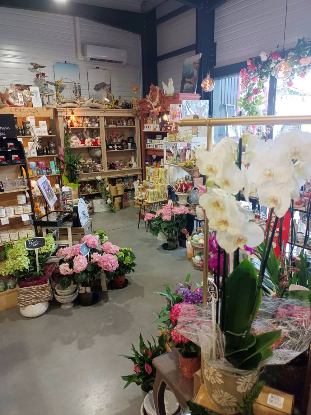 dans magasin